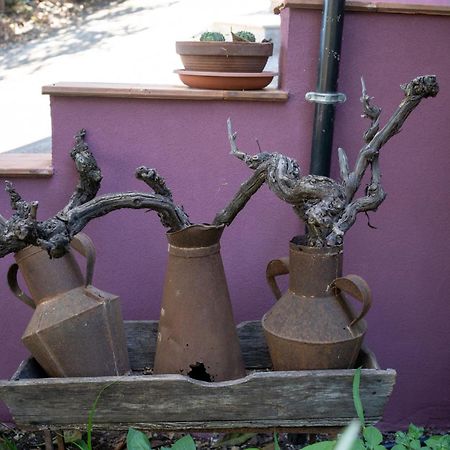 פיידימונטה אטנאו Agriturismo Etna-Mare מראה חיצוני תמונה