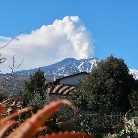 פיידימונטה אטנאו Agriturismo Etna-Mare מראה חיצוני תמונה