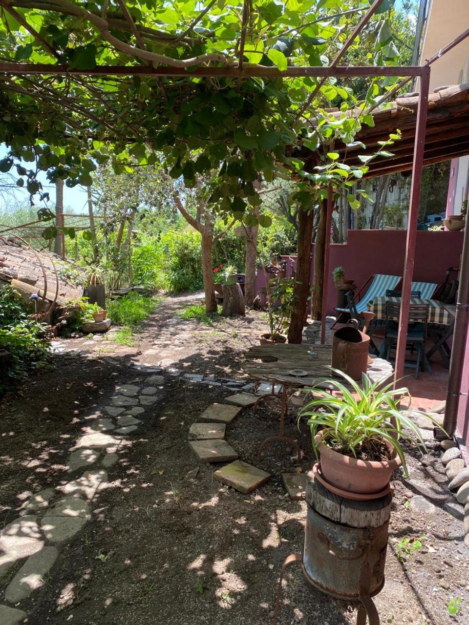 פיידימונטה אטנאו Agriturismo Etna-Mare מראה חיצוני תמונה