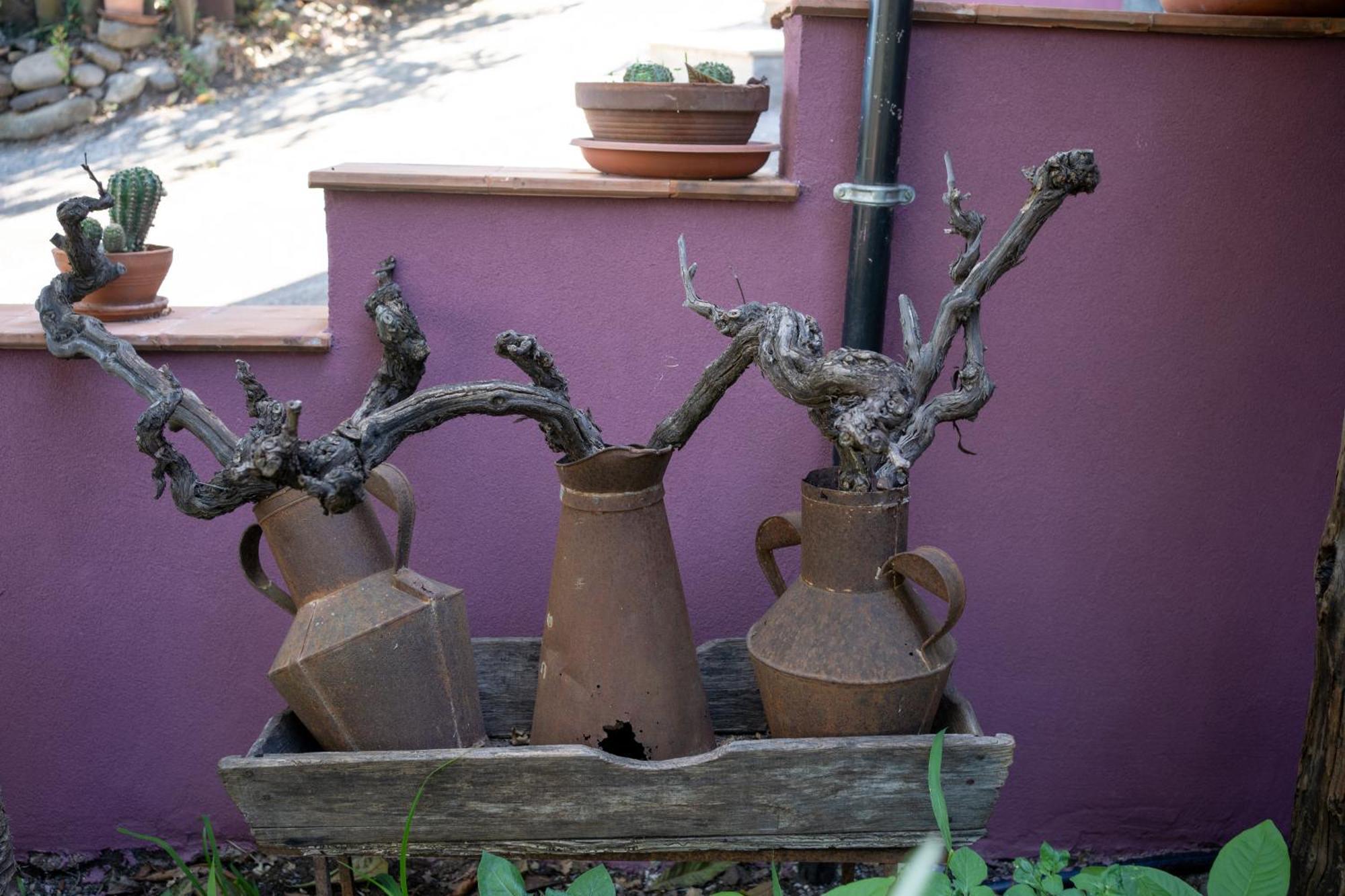 פיידימונטה אטנאו Agriturismo Etna-Mare מראה חיצוני תמונה