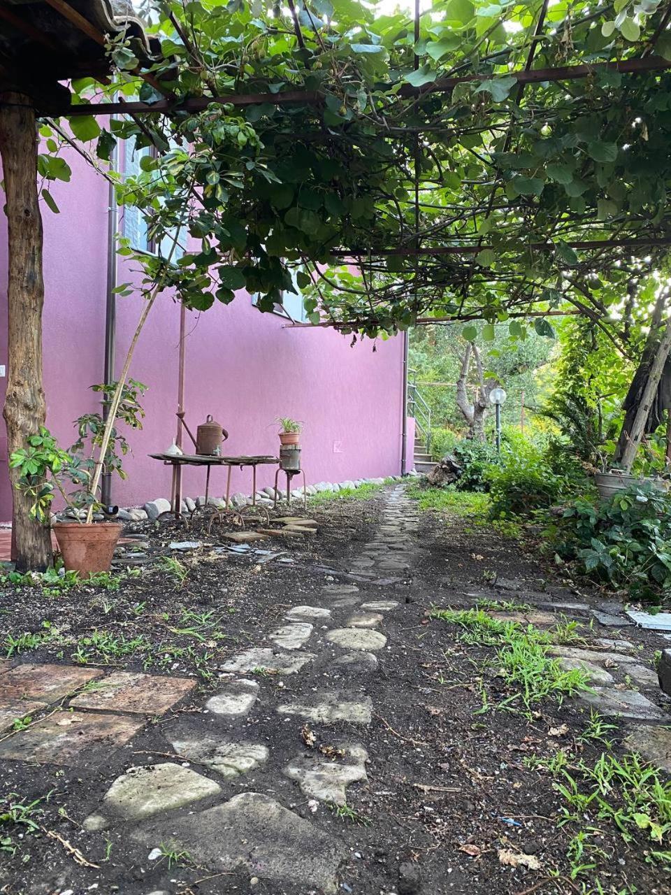 פיידימונטה אטנאו Agriturismo Etna-Mare חדר תמונה