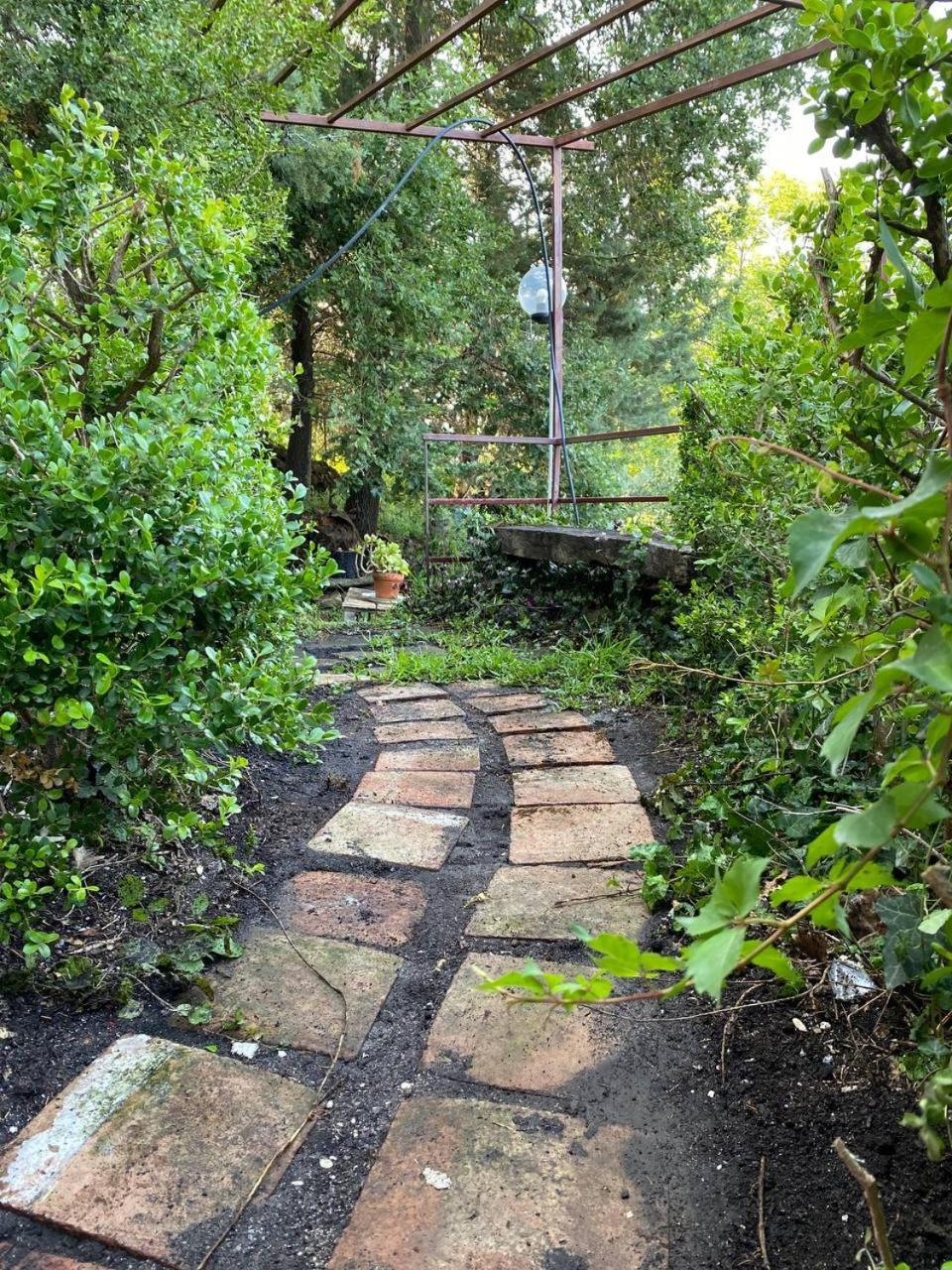 פיידימונטה אטנאו Agriturismo Etna-Mare חדר תמונה