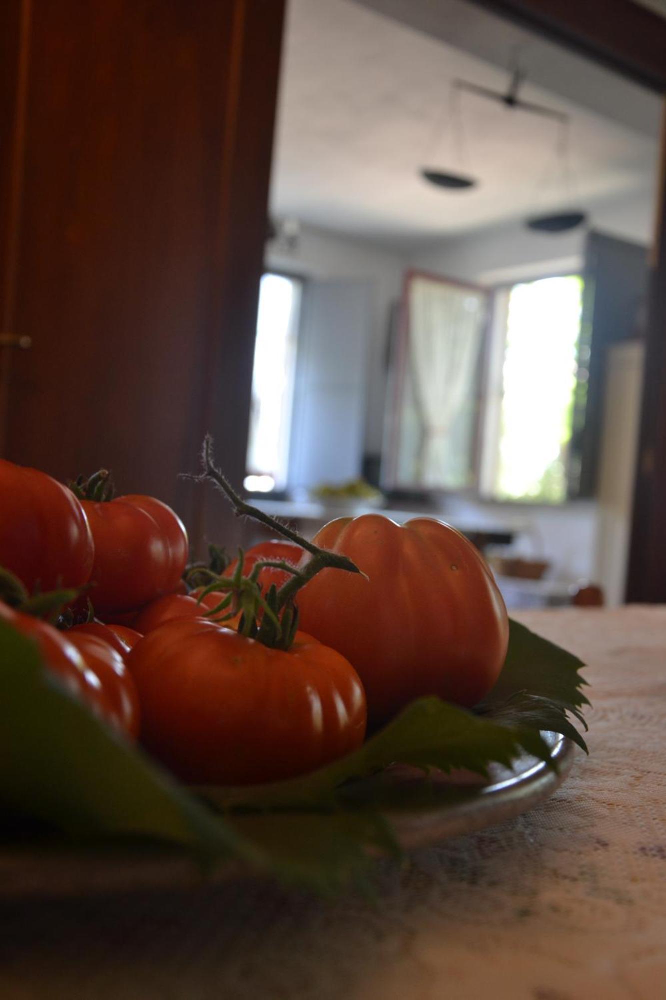 פיידימונטה אטנאו Agriturismo Etna-Mare חדר תמונה