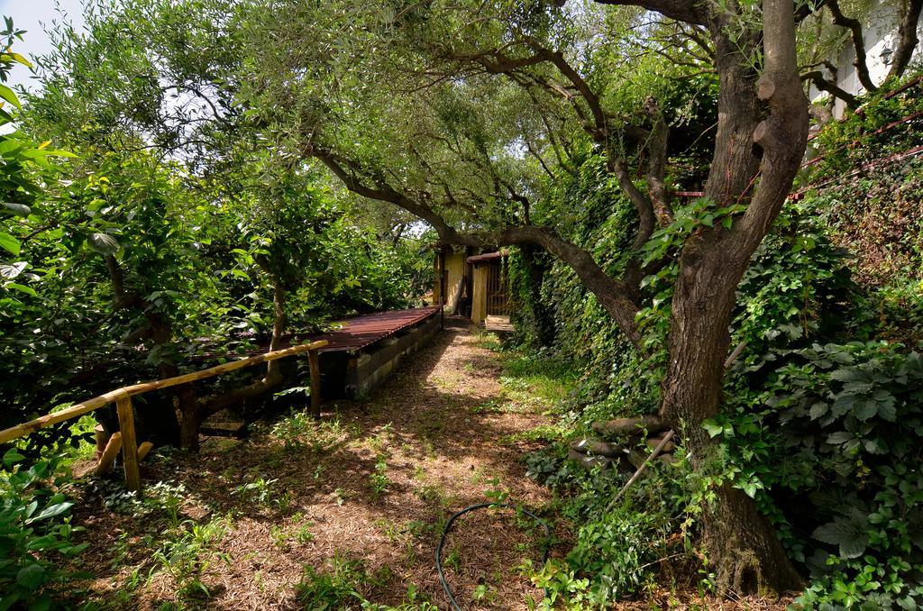 פיידימונטה אטנאו Agriturismo Etna-Mare מראה חיצוני תמונה