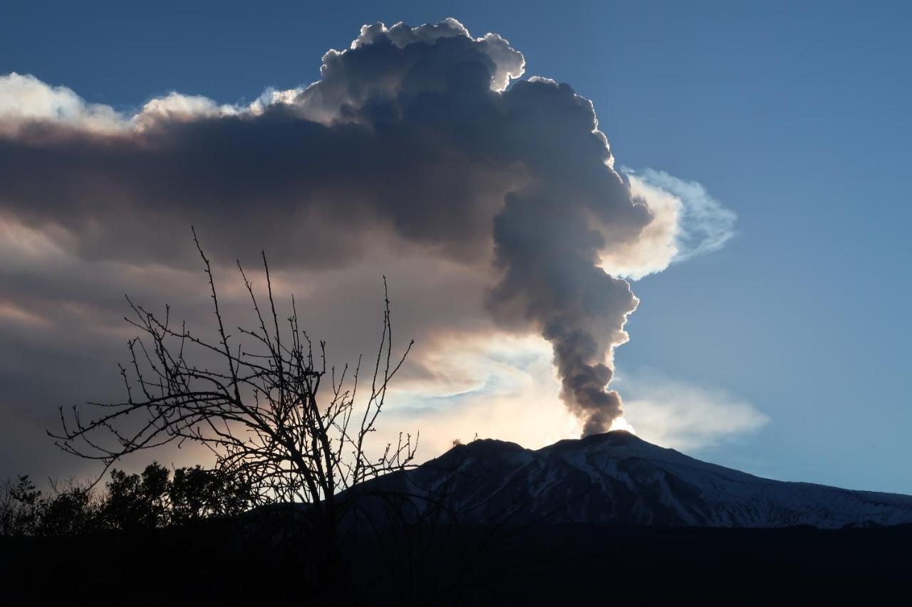 פיידימונטה אטנאו Agriturismo Etna-Mare מראה חיצוני תמונה