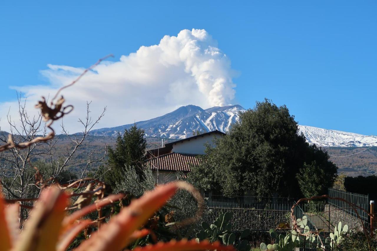 פיידימונטה אטנאו Agriturismo Etna-Mare מראה חיצוני תמונה